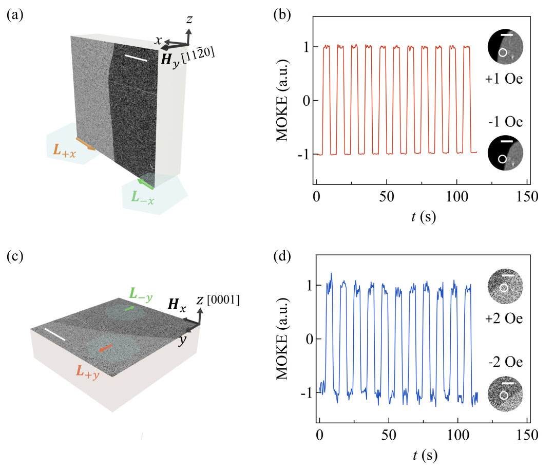 Symmetry-Driven Giant Magneto–Optical Kerr Effects in