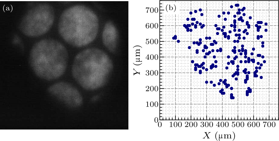 Chin. Phys. Lett. (2017) 34(7) 073401 - Ion Photon Emission Microscope ...