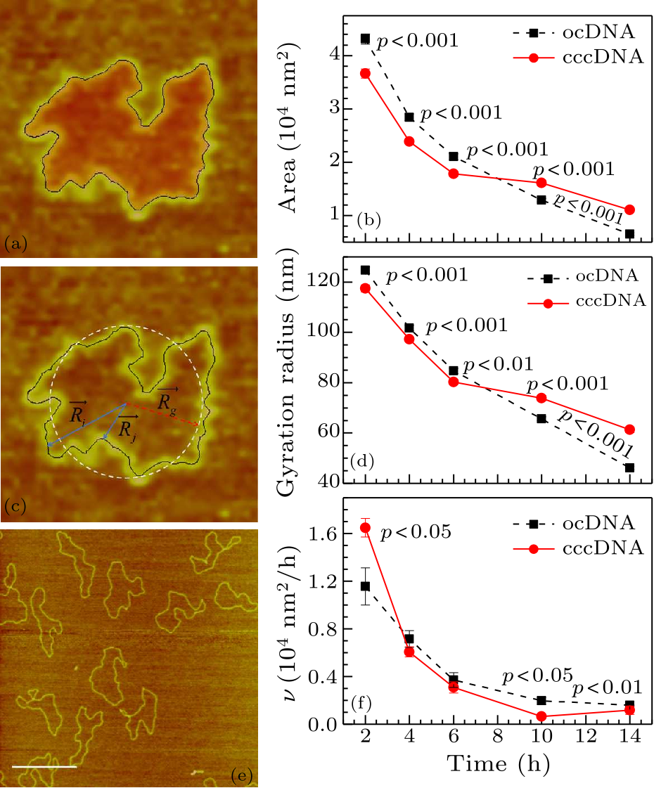 Chin. Phys. Lett. (2018) 35(11) 118701 - Effect Of Torsion On Cisplatin ...