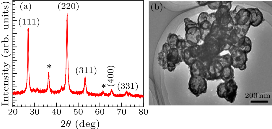 cpl-34-1-014205-fig1.png