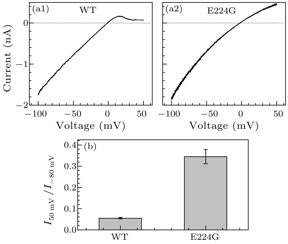 cpl-34-1-016102-fig2.png