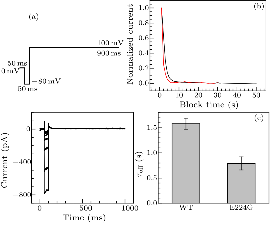 cpl-34-1-016102-fig3.png