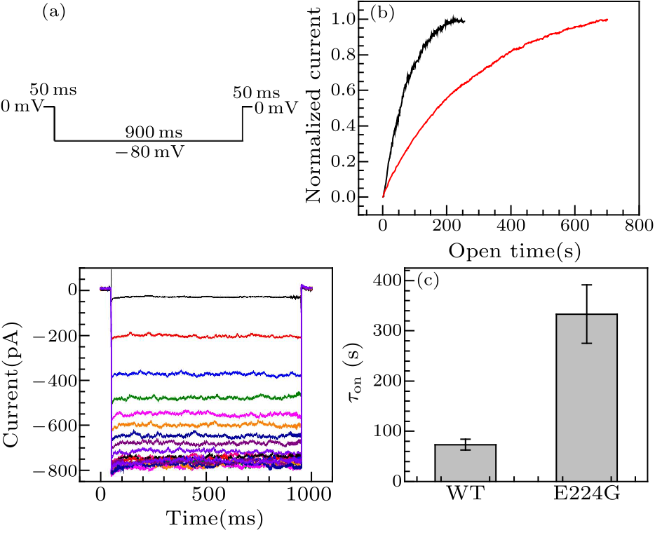 cpl-34-1-016102-fig4.png