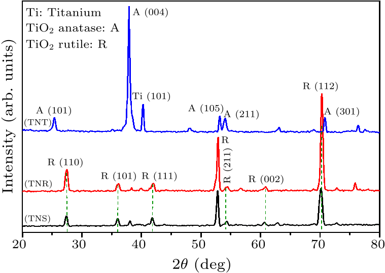 cpl-34-11-116101-fig5.png