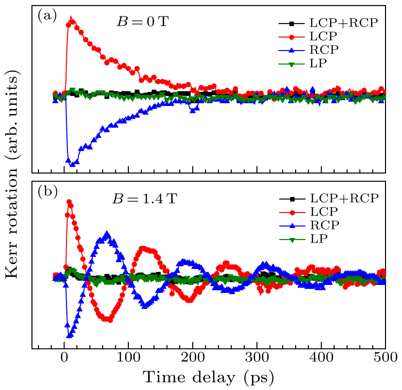 cpl-34-11-116701-fig1.png