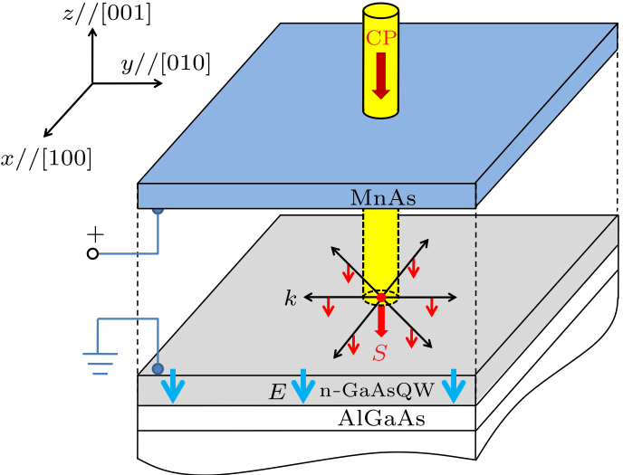 cpl-34-11-116701-fig4.png