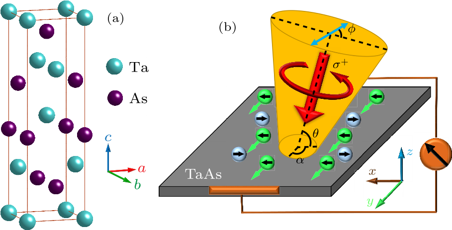 cpl-34-11-117203-fig1.png