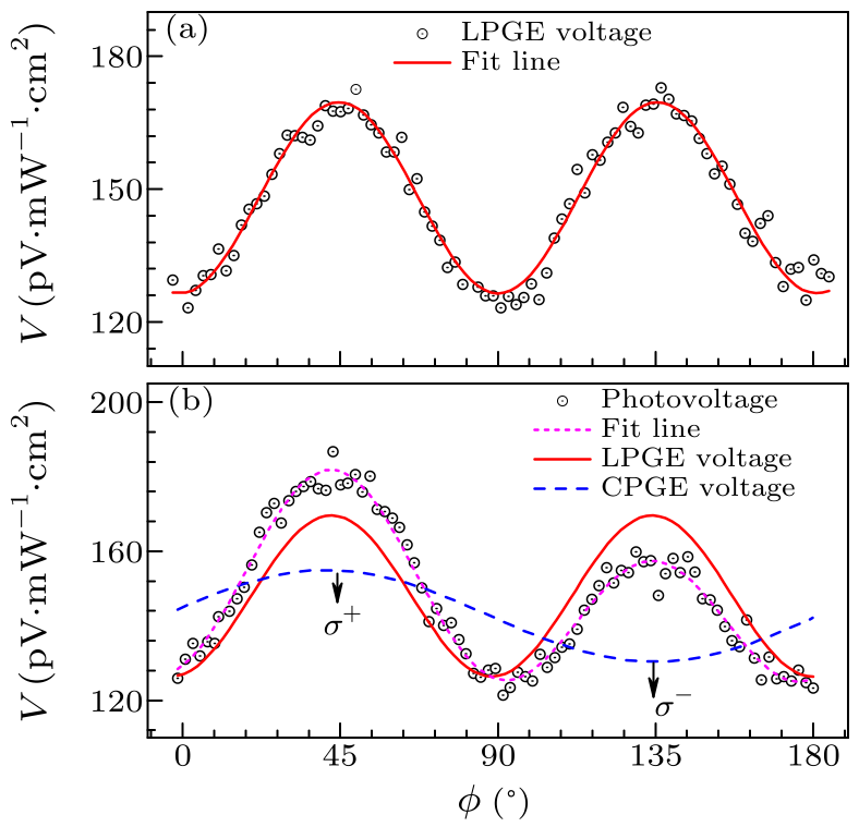 cpl-34-11-117203-fig2.png