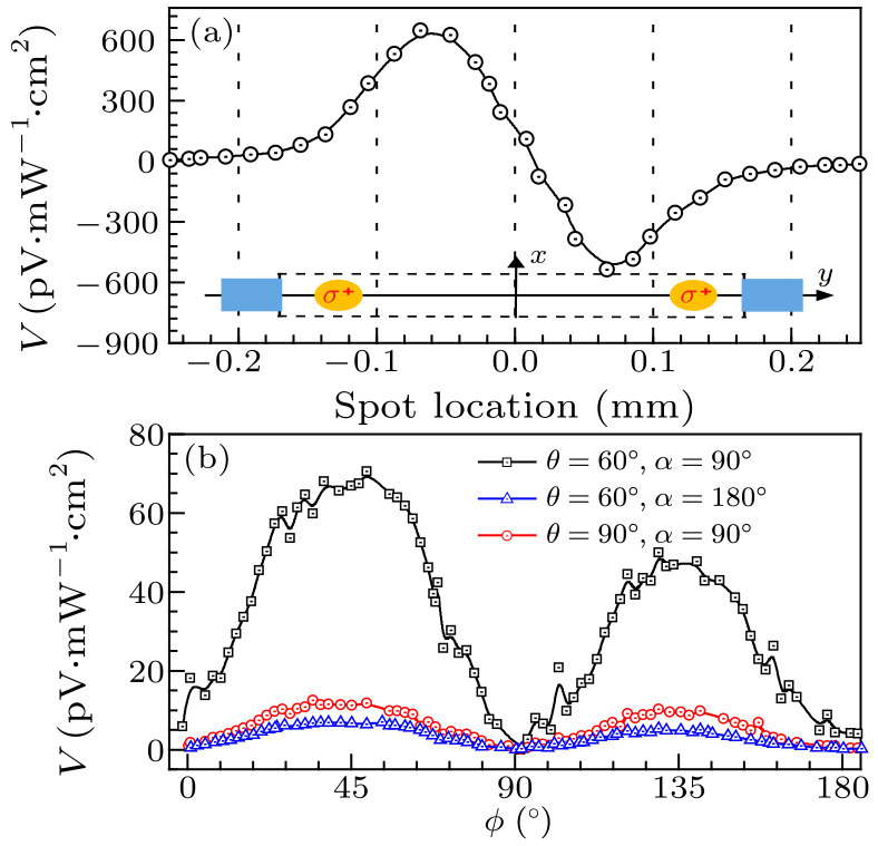 cpl-34-11-117203-fig3.png