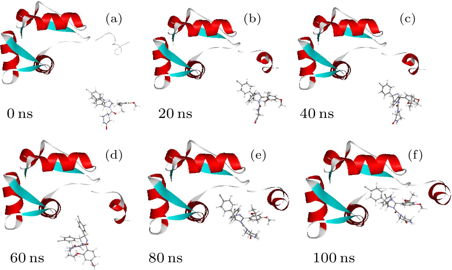 cpl-34-11-118701-fig6.png