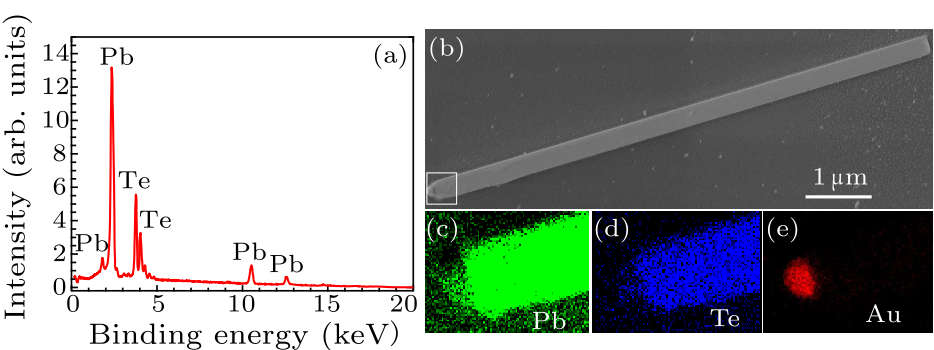 cpl-34-2-026201-fig2.png