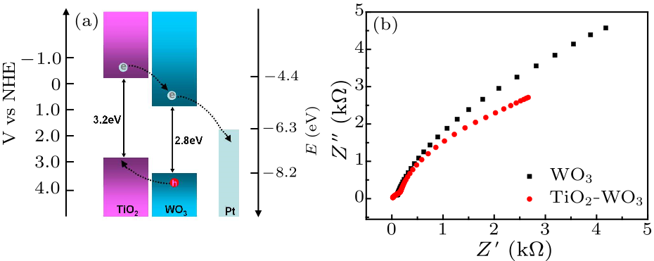 cpl-34-2-028201-fig4.png