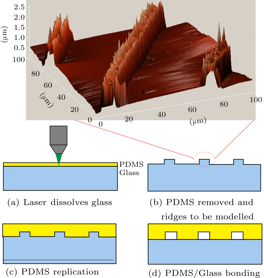 cpl-34-4-044201-fig2.png