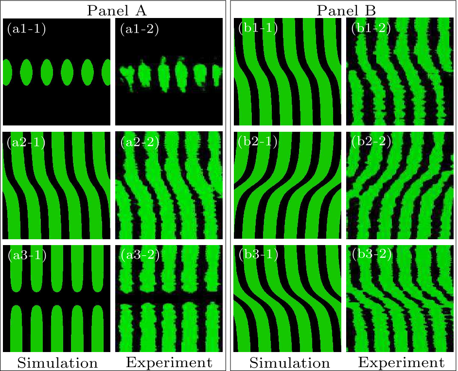 cpl-34-4-044204-fig3.png