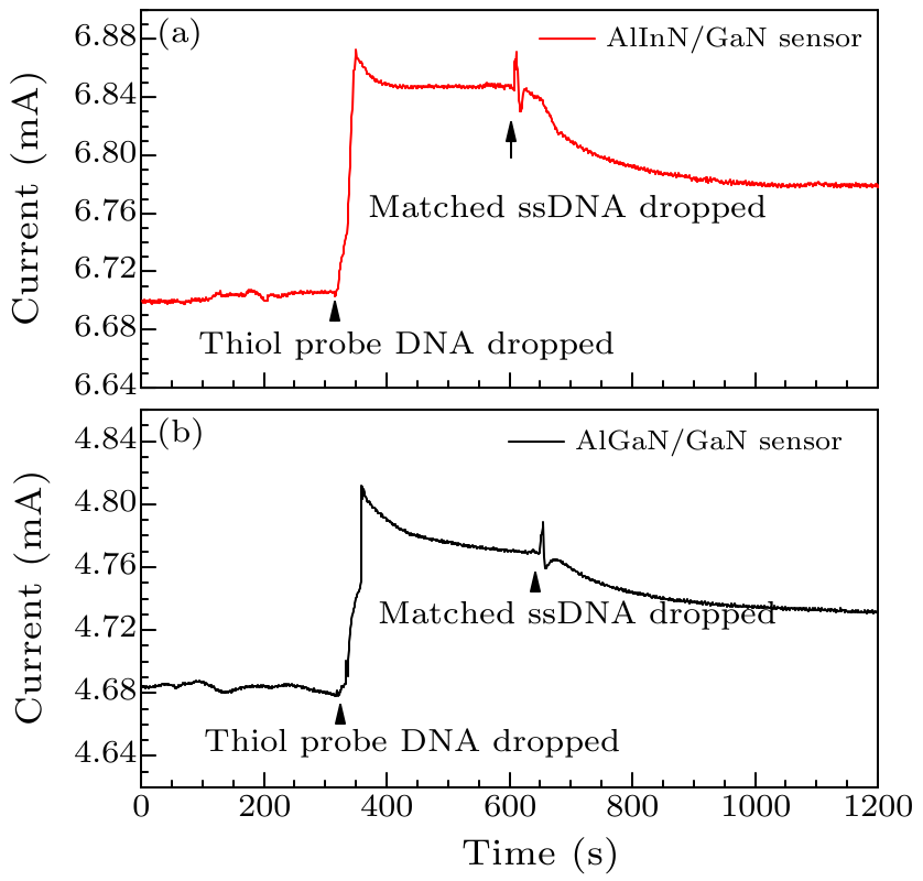 cpl-34-4-047301-fig4.png