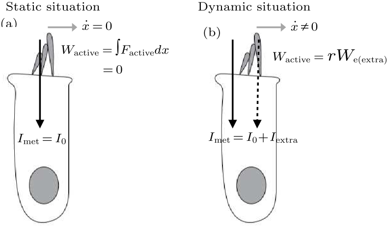 cpl-34-4-048702-fig1.png