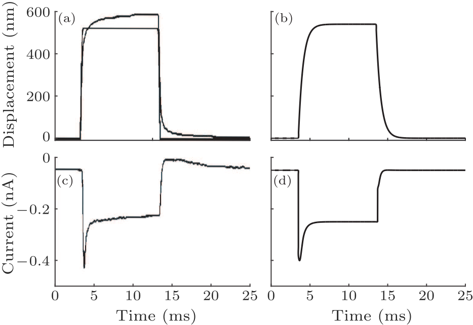 cpl-34-4-048702-fig3.png