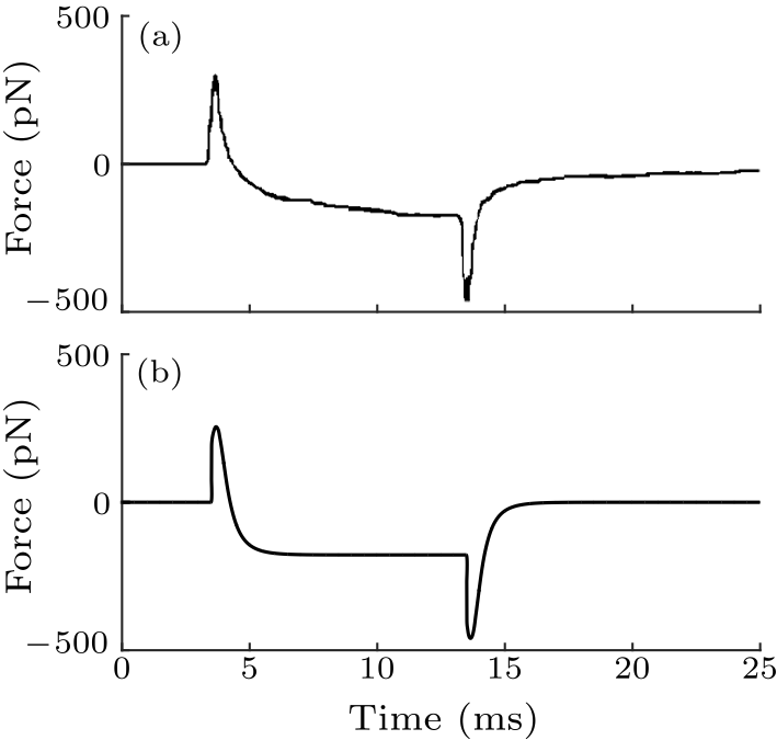 cpl-34-4-048702-fig4.png