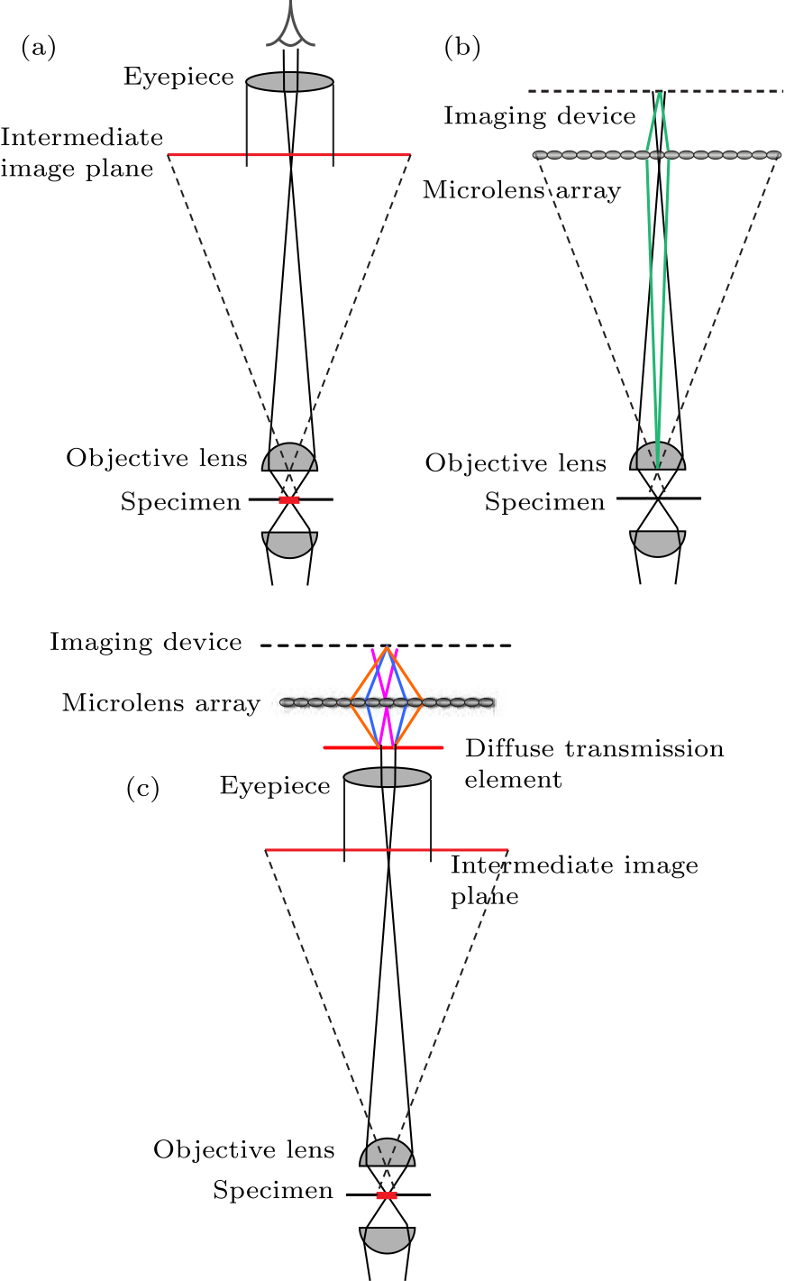 cpl-34-7-074201-fig1.png