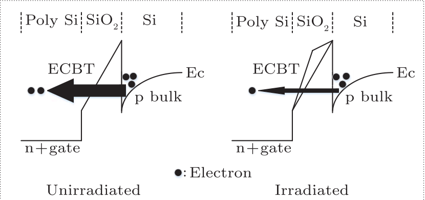 cpl-34-7-076104-fig5.png