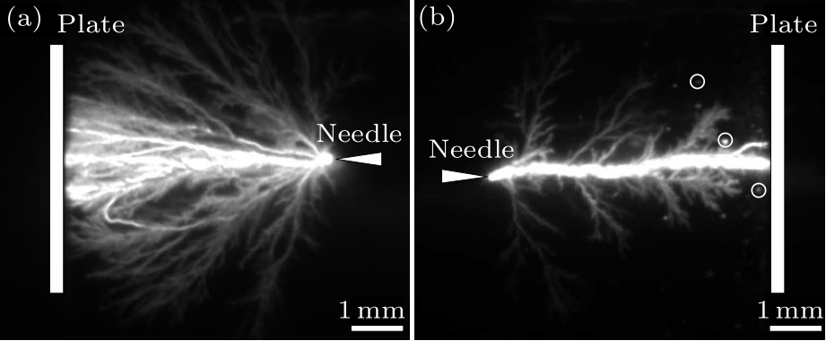 cpl-34-7-077701-fig4.png