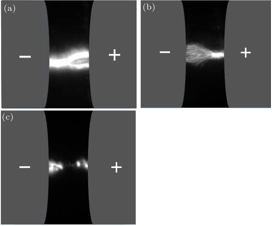 cpl-34-7-077701-fig5.png