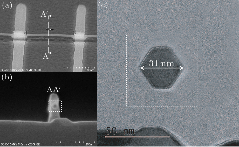 cpl-34-7-078502-fig4.png