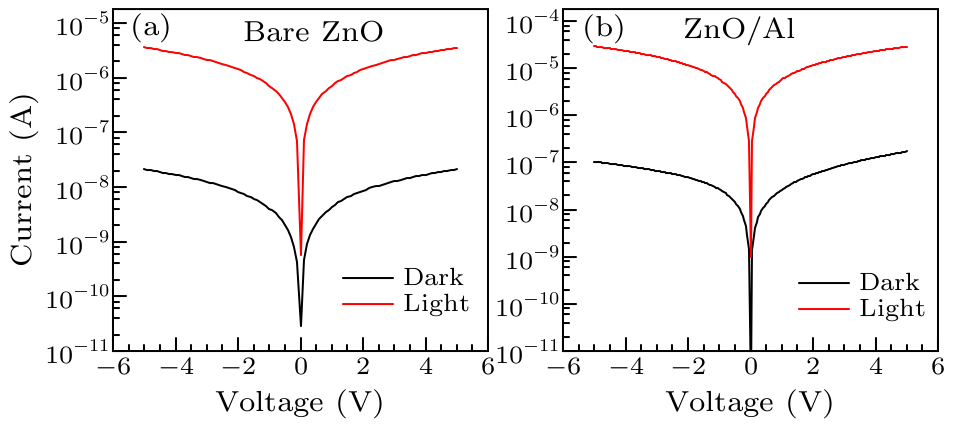 cpl-34-7-078503-fig2.png