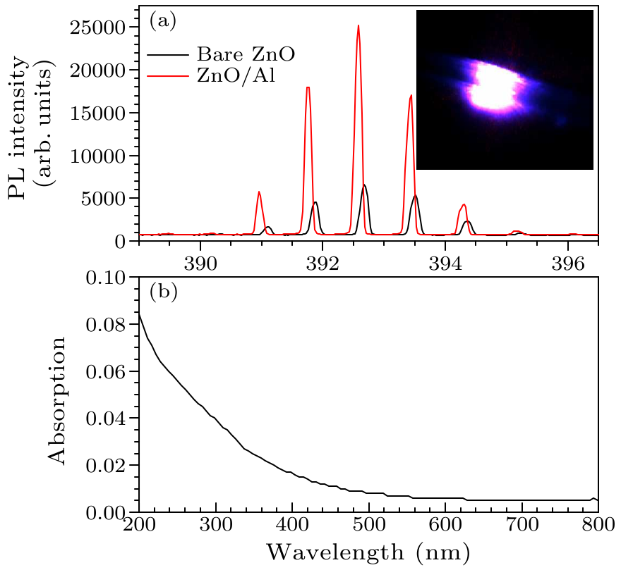 cpl-34-7-078503-fig4.png