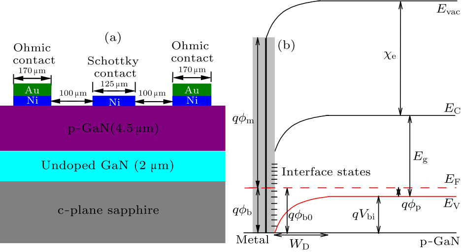 cpl-34-9-097301-fig1.png