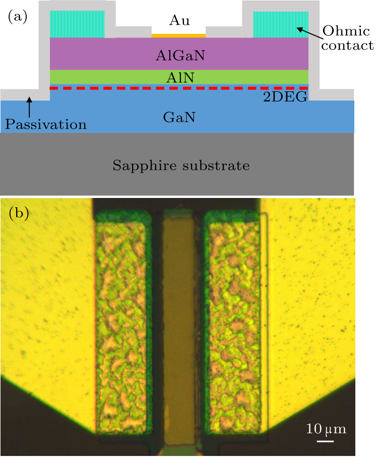 cpl-34-9-097302-fig1.png