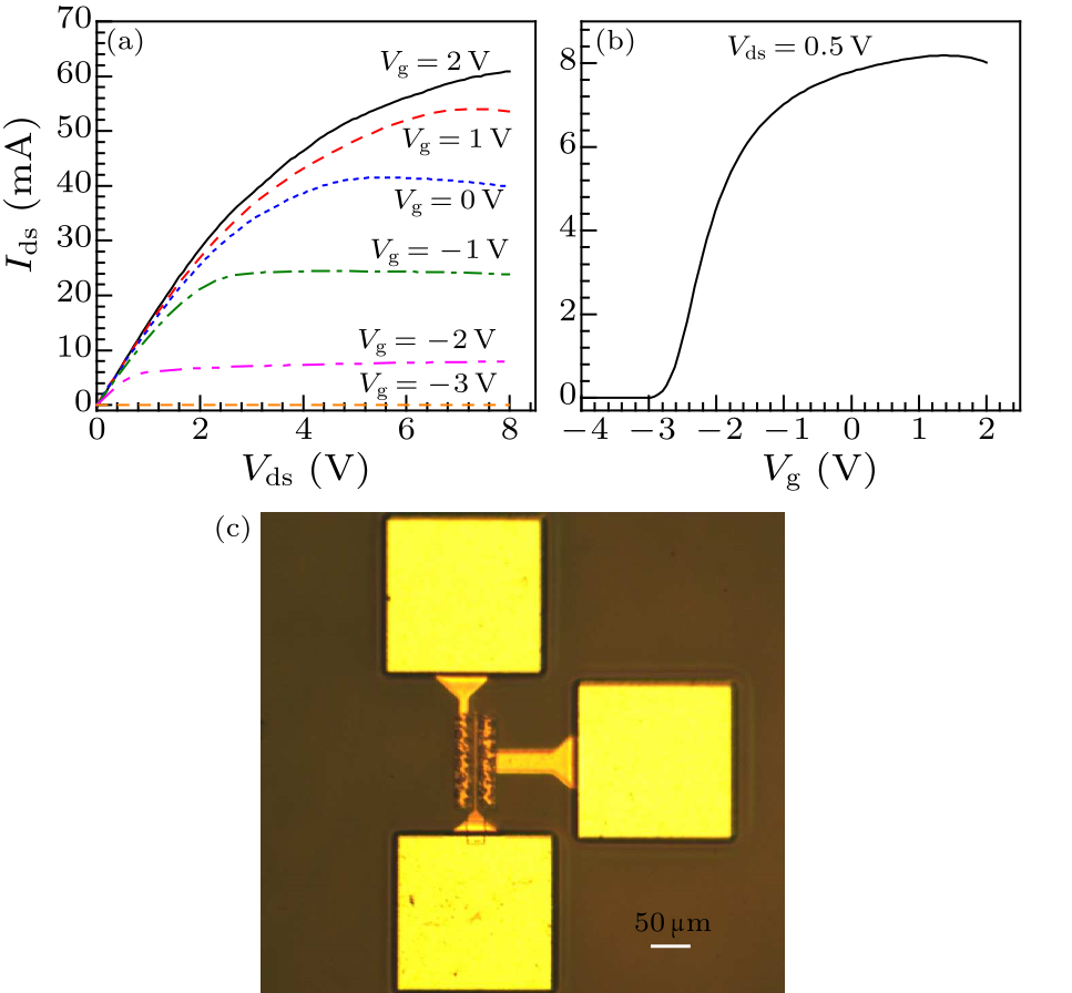 cpl-34-9-097302-fig2.png