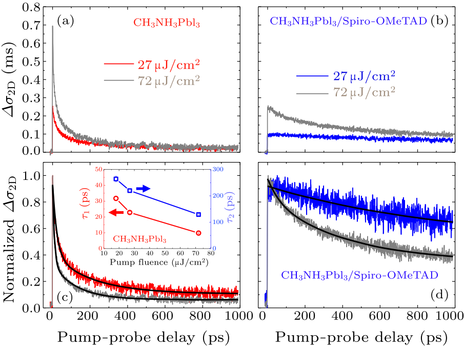 cpl-35-2-028401-fig2.png