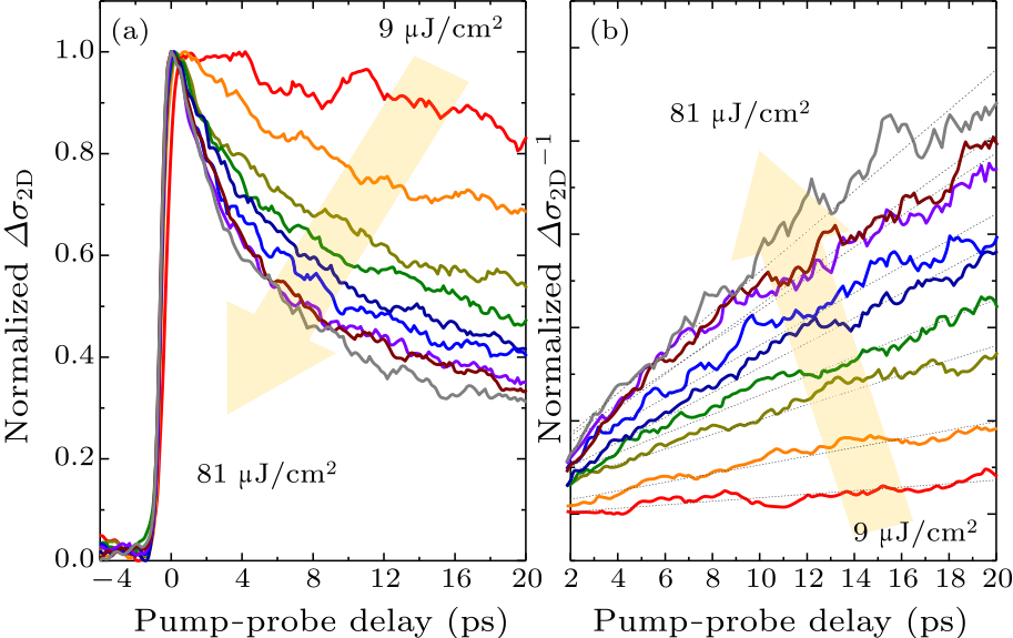 cpl-35-2-028401-fig3.png