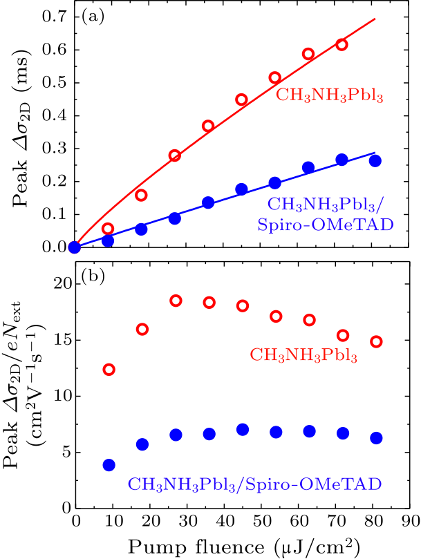 cpl-35-2-028401-fig5.png