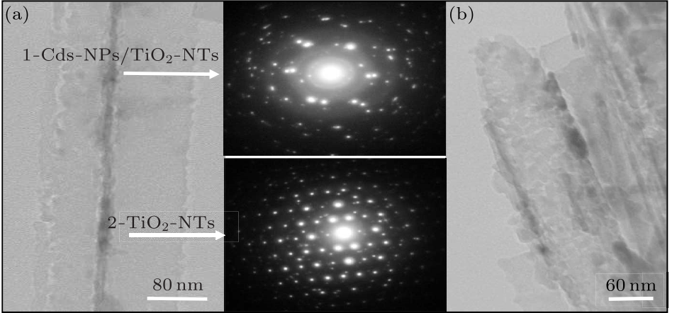 cpl-35-3-036101-fig3.png