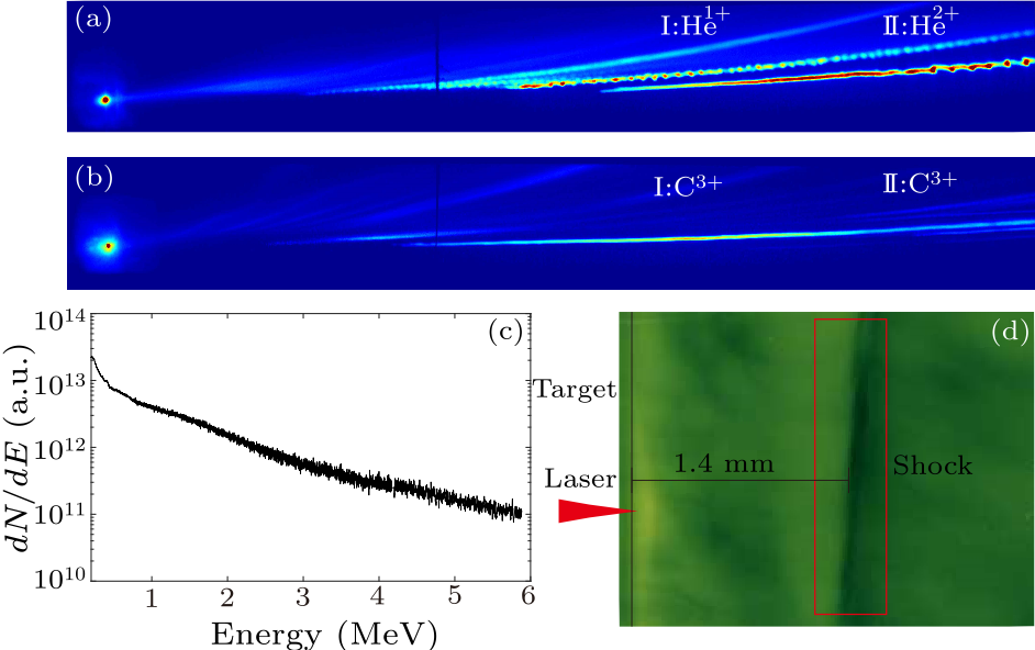 cpl-36-10-105201-fig2.png