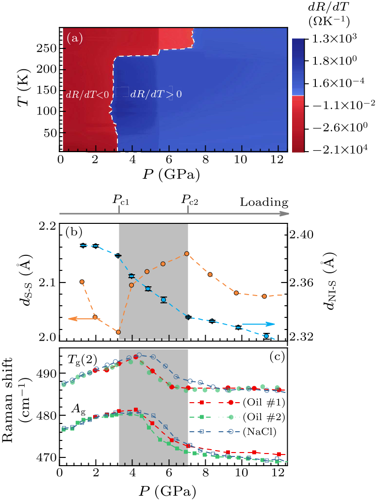 cpl-36-10-107101-fig4.png