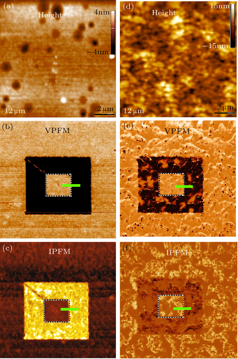 cpl-36-10-107701-fig3.png