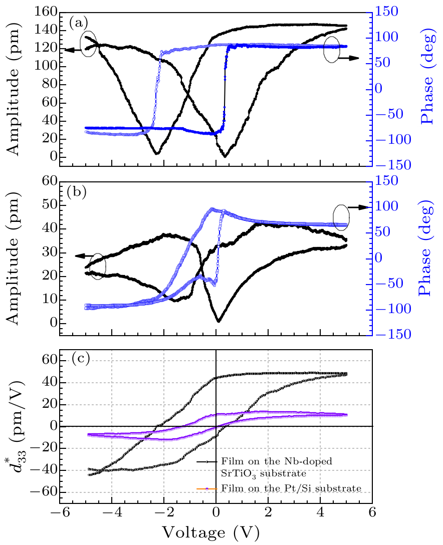 cpl-36-10-107701-fig4.png