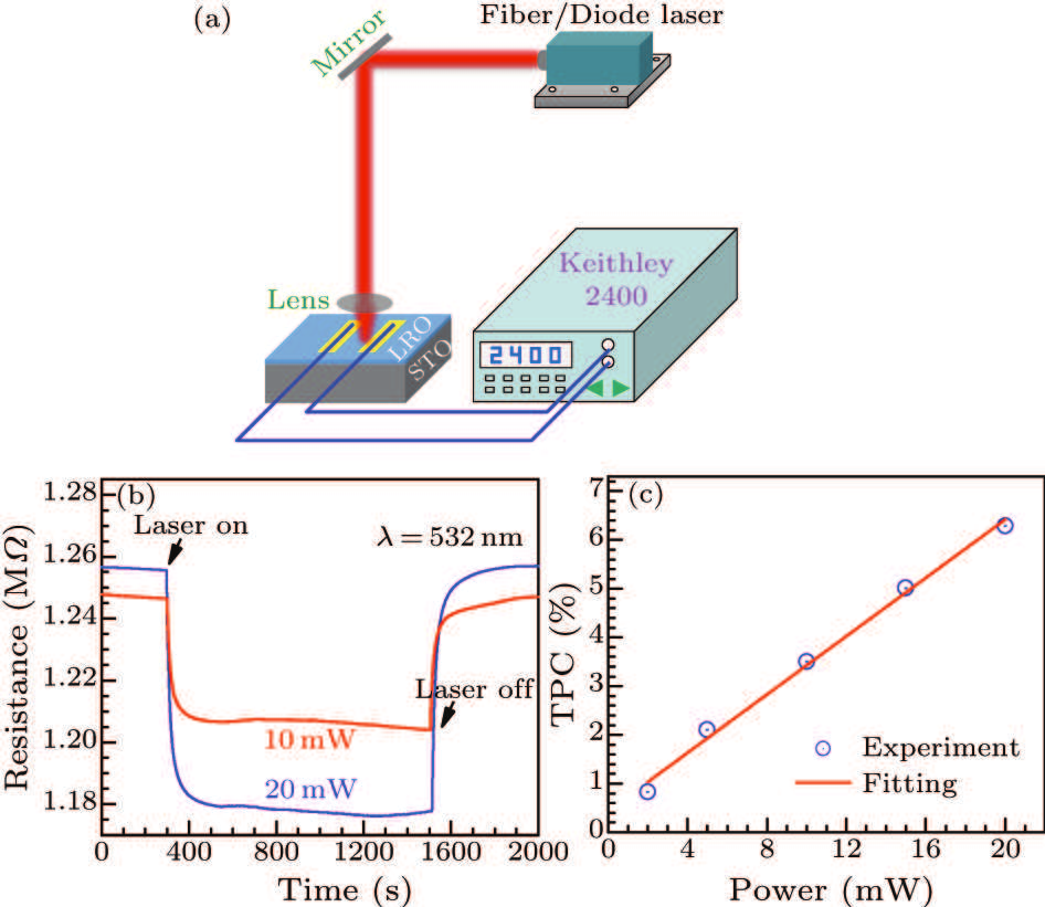 cpl-36-11-117801-fig2.png