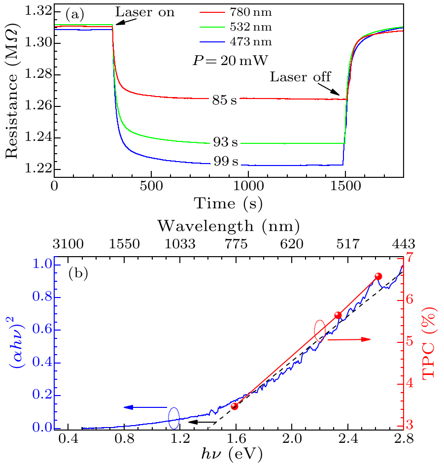 cpl-36-11-117801-fig3.png