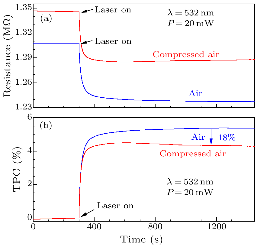 cpl-36-11-117801-fig4.png