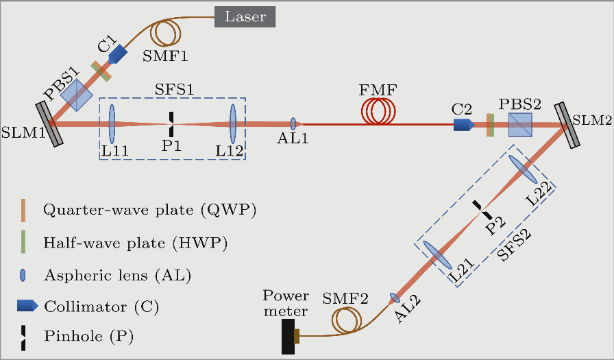 cpl-36-12-124207-fig1.png