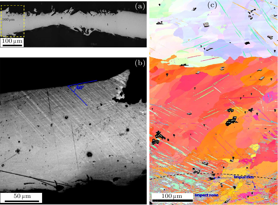 cpl-36-2-026201-fig4.png