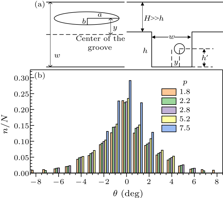 cpl-36-3-034701-fig4.png