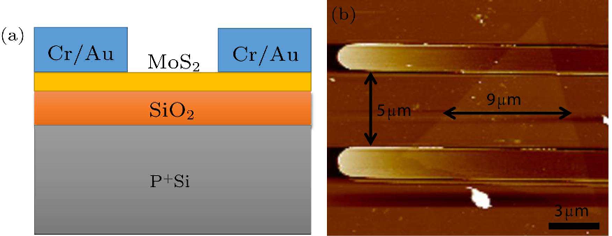 cpl-36-3-037301-fig5.png