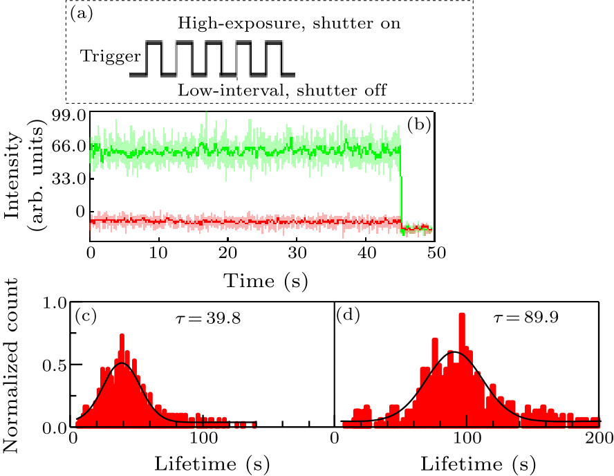 cpl-36-3-038701-fig3.png