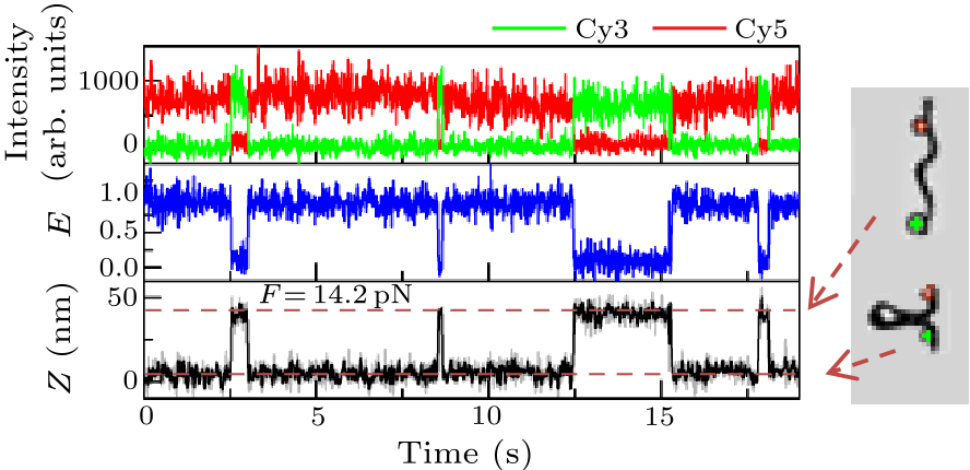 cpl-36-3-038701-fig4.png