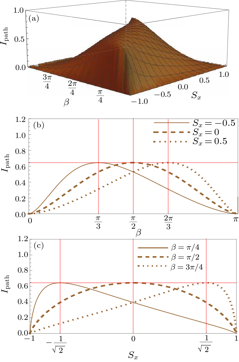 cpl-36-5-050302-fig2.png